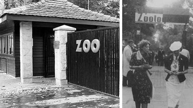 Вход в зоопарк. Довоенное фото.