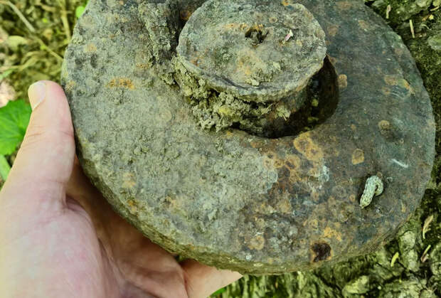 Мужчина выложил снимок лесной находки и получил совет немедленно вызвать саперов