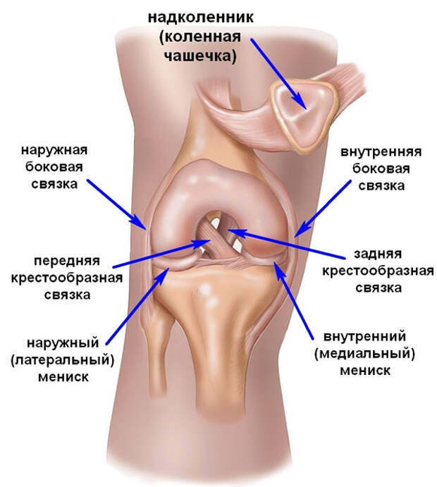 Что делать при растяжении связок? Что делать при растяжении связок?