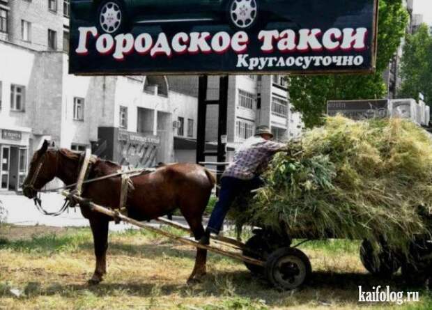 Прикольное такси (50 фото)