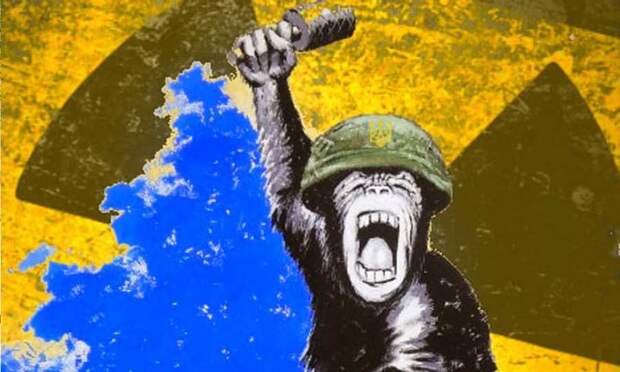 Всё может быть: учёный-ядерщик объяснил, как реагировать на угрозы Зе-банды взорвать ЗАЭС и КуАЭС