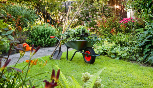 Сам себе ландшафтный дизайнер: 20 лучших идей для превосходного сада