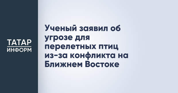 Ученый заявил об угрозе для перелетных птиц из-за конфликта на Ближнем Востоке
