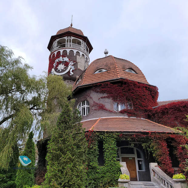 Кто ты, пользователь Huawei/Honor без Google – люди и их истории