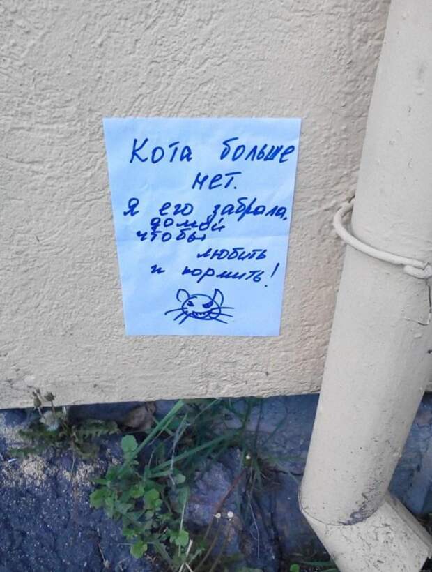 Веселые записки от сильных и независимых женщин Веселые записки от сильных и независимых женщин