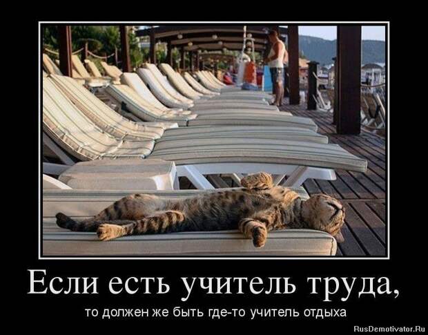 Зачетные и веселые демотиваторы для хорошего настроения на весь день