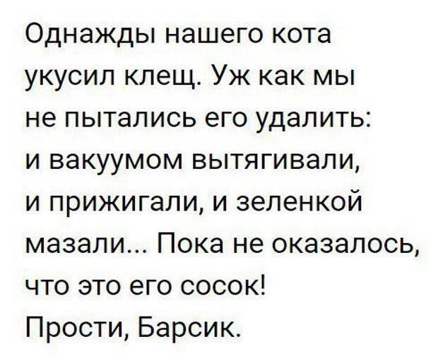 Идёт пьяный мужик по тёмному переулку вдоль забора Идёт пьяный мужик по тёмному переулку вдоль забора