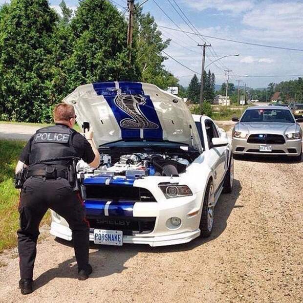 10.  авто, автоприколы, приколы