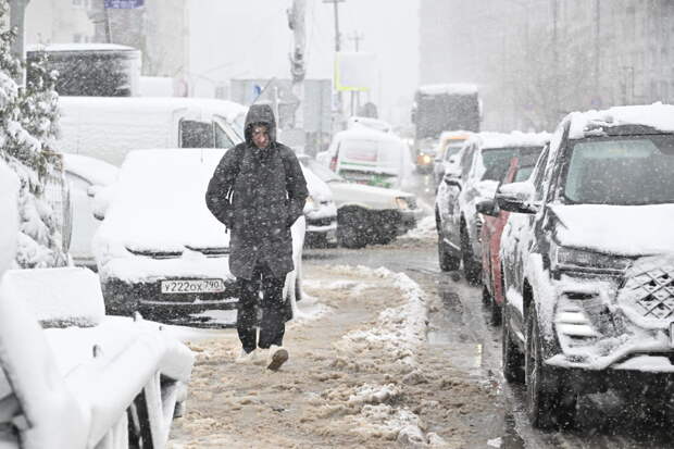Назван неочевидный плюс снегопада в апреле