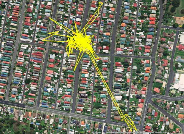 Куда ходит ваша кошка ночью: GPS-анализ похождений Куда ходит ваша кошка ночью: GPS-анализ похождений