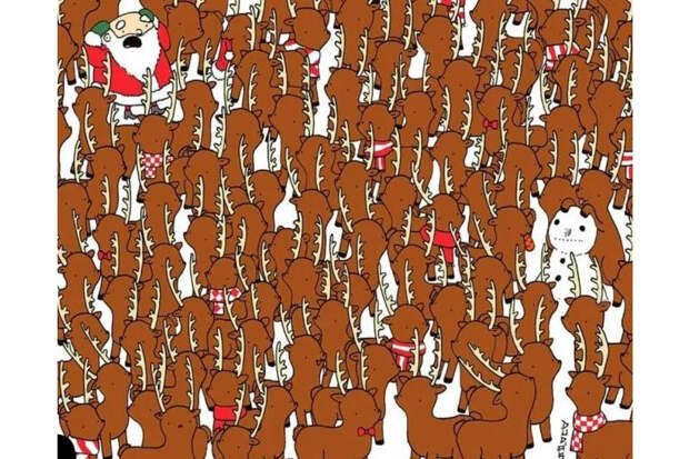 Найдете медведя среди оленей за 15 секунд? Проверка на внимательность