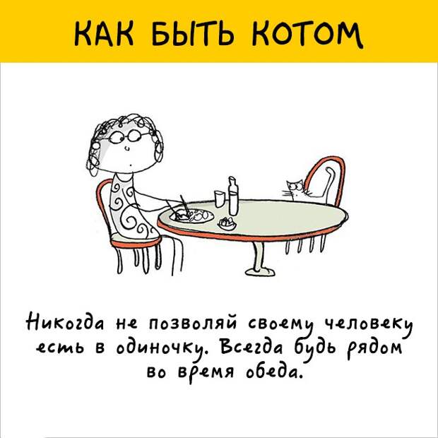 как правильно быть котом