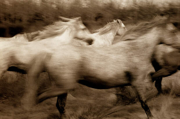 fotograf Robert Farber 1 30