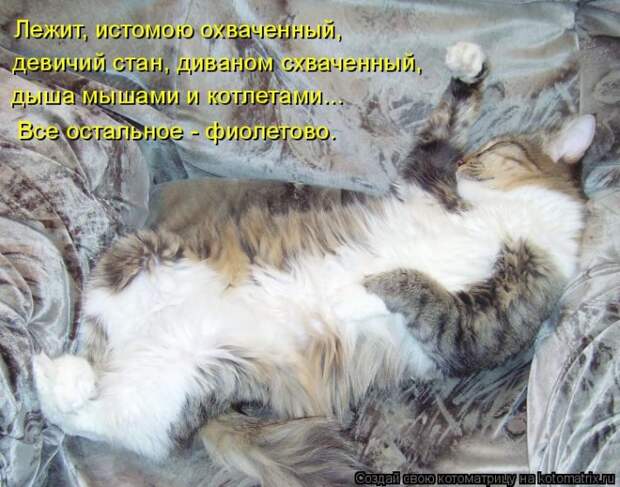 Апрельская котоматрица :)