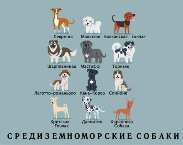 clip_image014