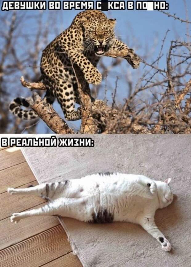 Приколы про отношения и девушек