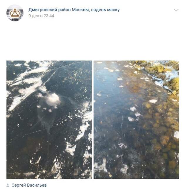 Фото дня: ледовые объятия Ангарских