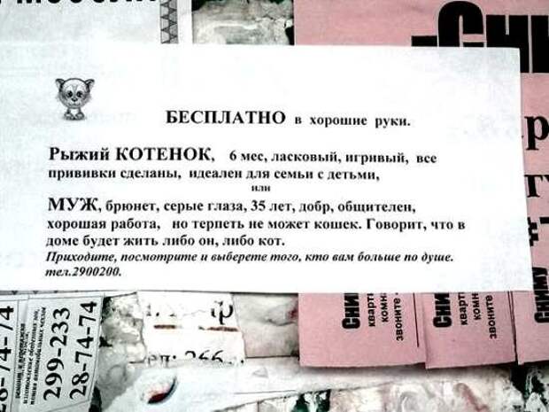 Равнозначный выбор, ничего не скажешь Равнозначный выбор, ничего не скажешь в хорошие руки, отдам даром, прикол, юмор