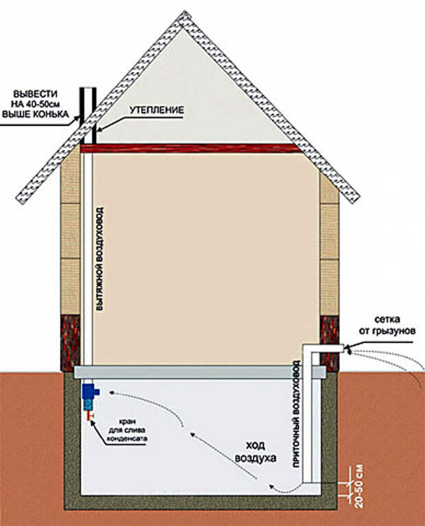 Схема вентиляции погреба под домом
