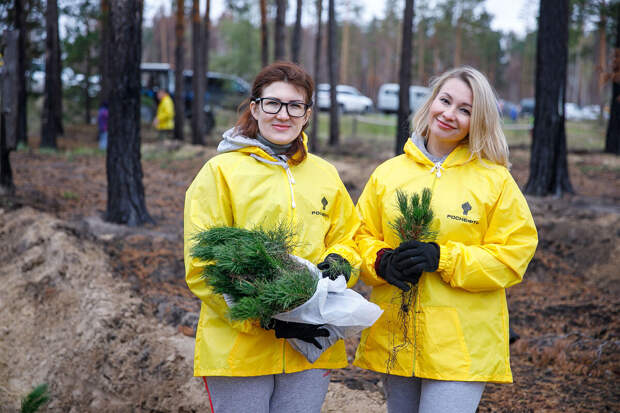 В 2025 году предприятия "Роснефти" посадили 8,1 млн саженцев в регионах добычи