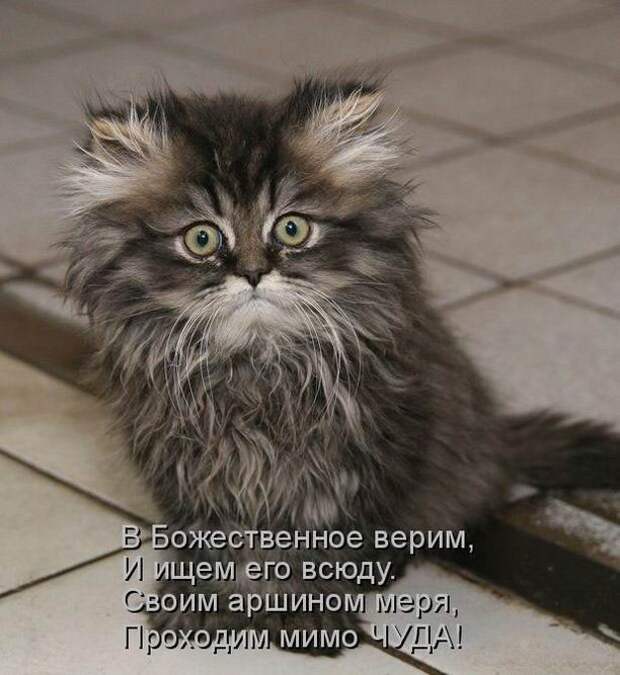 Мысли вслух :)