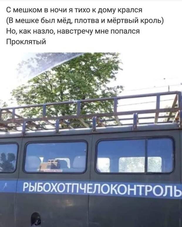 Бойся, браконьер Бойся, браконьер