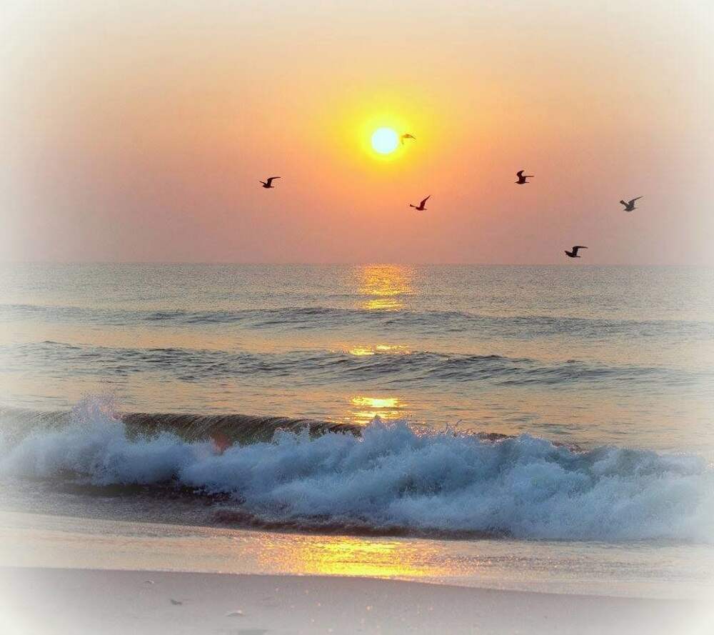 Море поутру. Море утром. Рассвет на море. Утро на море. Солнце над морем.