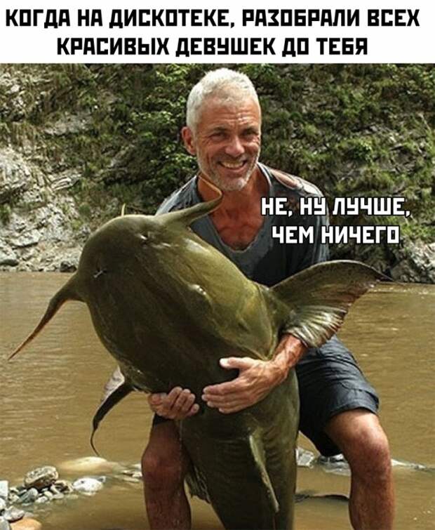 Подборка картинок. Вечерний выпуск (30 фото)