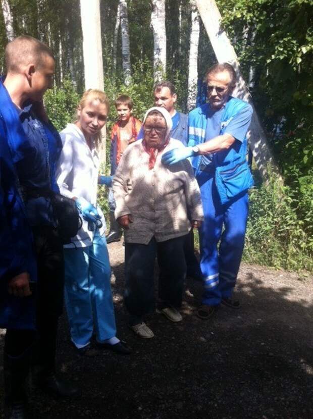 Один день поисковика лес, поиски, человек