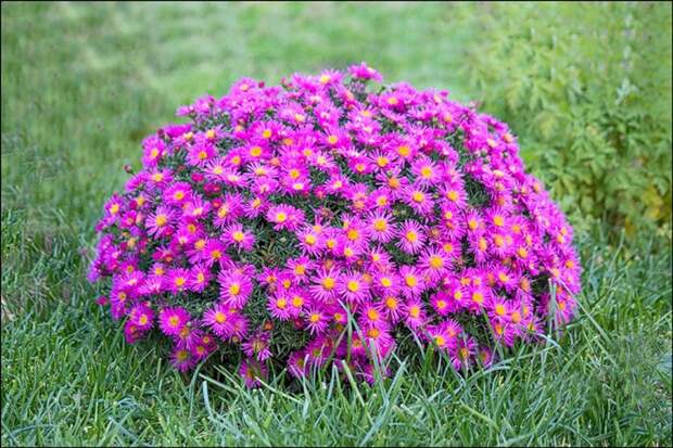 0_57325_c4104515_XL (700x467, 167Kb)
