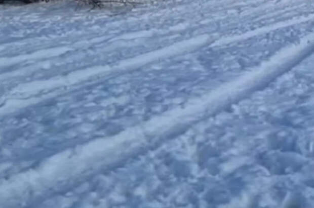 Очевидцы сообщили об исчезновении машины пропавших в тайге Усольцевых