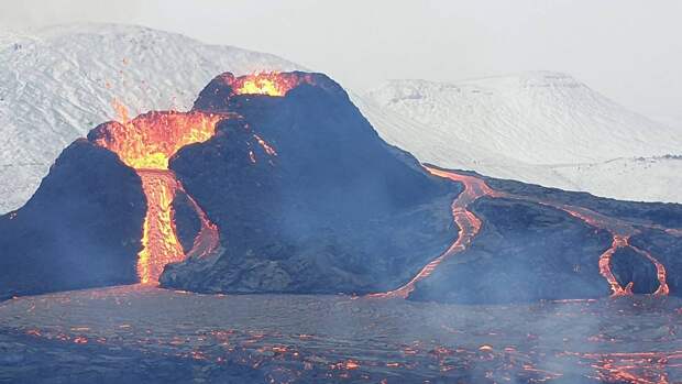 Извержения вулканов 450 млн лет назад спровоцировали крупнейшее массовое вымирание
