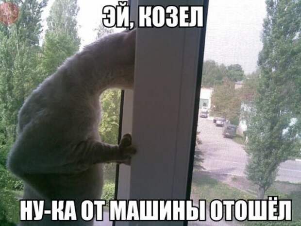 Фотоприколы на автотематику (21 шт)