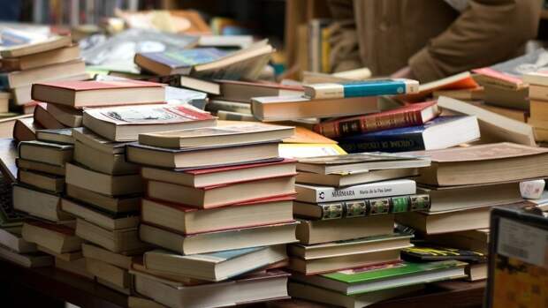 Член ФИПИ Людмила Дудова составила список книг, которые помогут школьникам сдать ЕГЭ