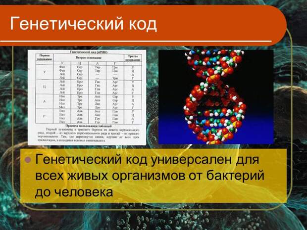 Рисунок генетический код