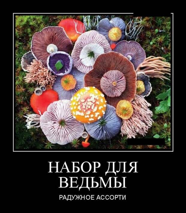 www.vsyako.net