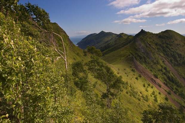 sakhalin07.jpg