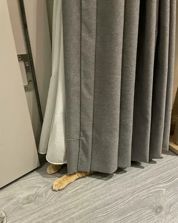 ?