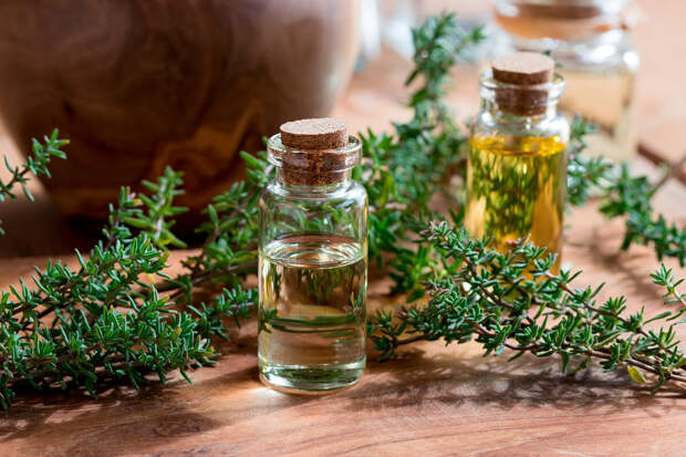 FP: эфирные масла способны подавлять рост опасных бактерий
