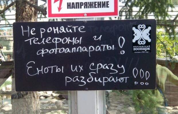 Добро пожаловать в зоопарк! Добро пожаловать в зоопарк!