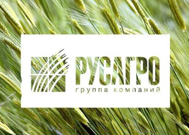 Аналитики ГК "ФИНАМ" ожидают от "Русагро" сильного отчета по МСФО