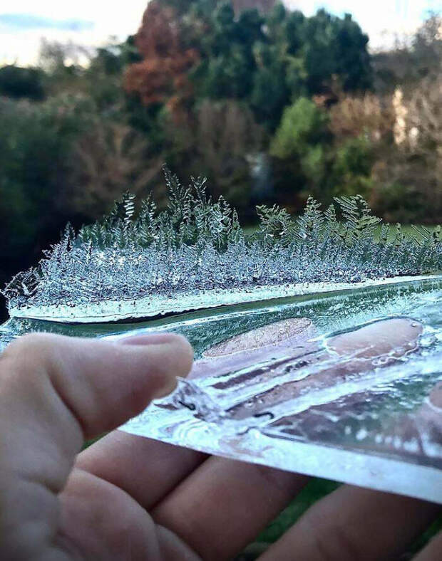 8 фото, как природа творит чудеса в неожиданных местах