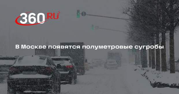 Синоптик Шувалов: сугробы в Москве увеличатся до 50 сантиметров и выше