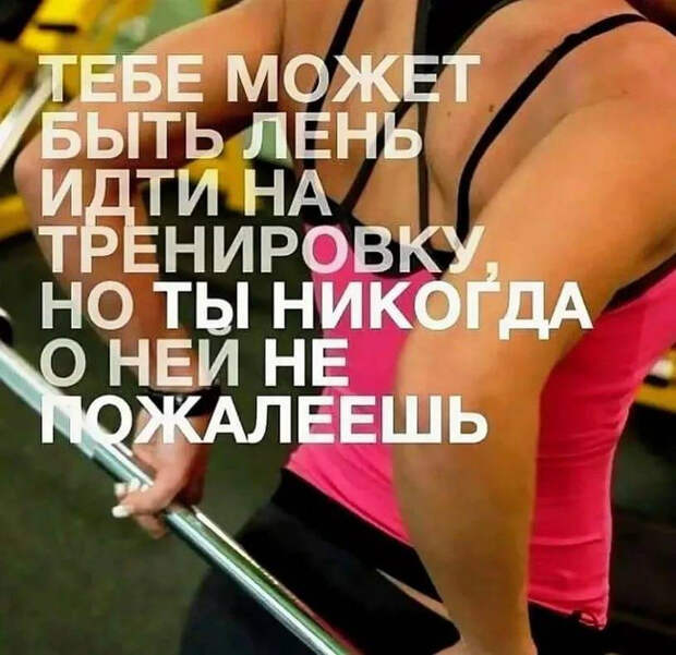 159228590_0afee27504fd5dab9bbce831781c76d8 (699x678, 440Kb)