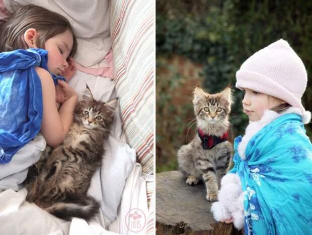 Задушевная дружба 5-летней девочки, страдающей аутизмом, и её терапевтической кошки (23 фото)