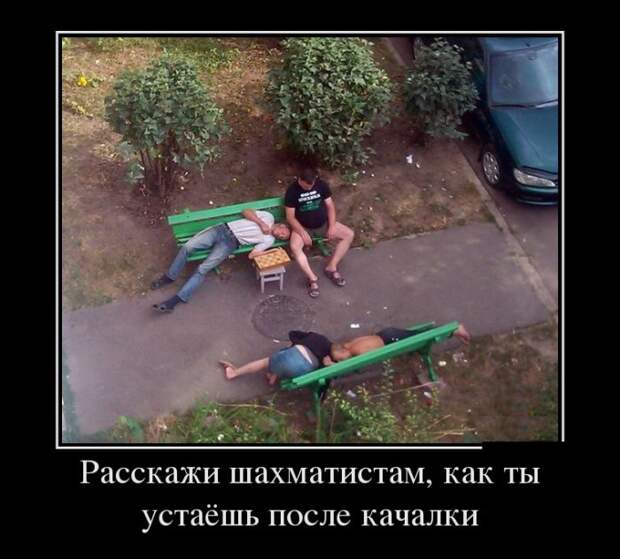 Расскажи шахматистам, как ты устаёшь после качалки демотиватор, юмор