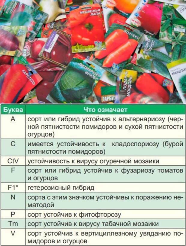 Дана информация которая находится на пакетике с семенами рассмотри рисунок и ответь на вопрос