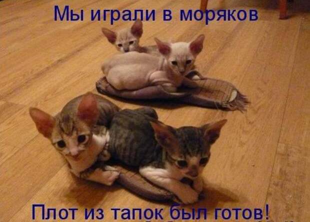 Мысли вслух :)