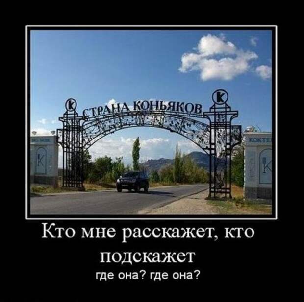Демотиваторы-приколы (21 фото)