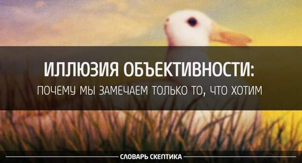 Иллюзия объективности: почему мы замечаем только то, что хотим